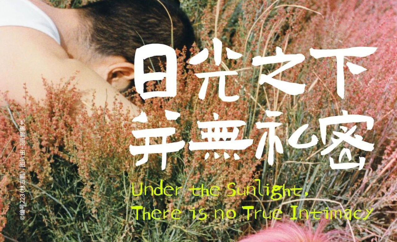 编号223（林志鹏）：日光之下 并无私密