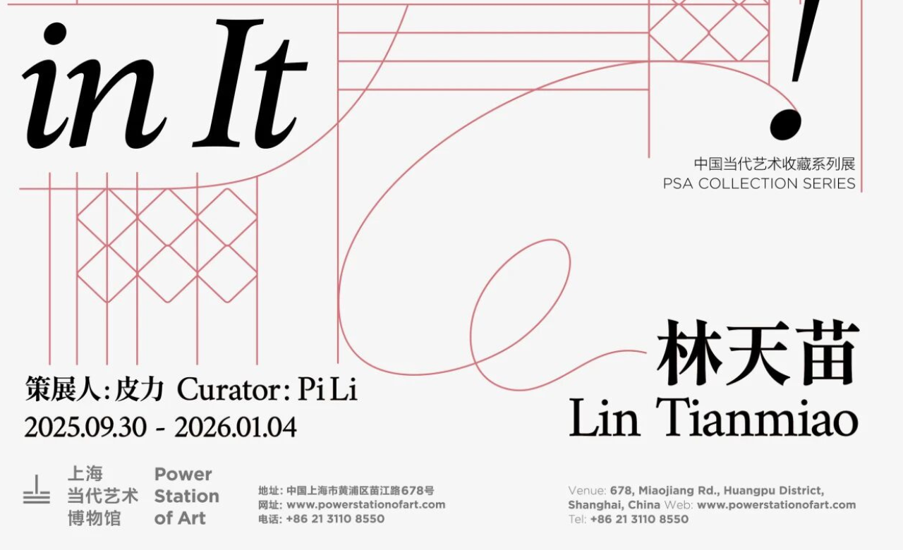 中国当代艺术收藏系列展没什么好玩的！——林天苗个展