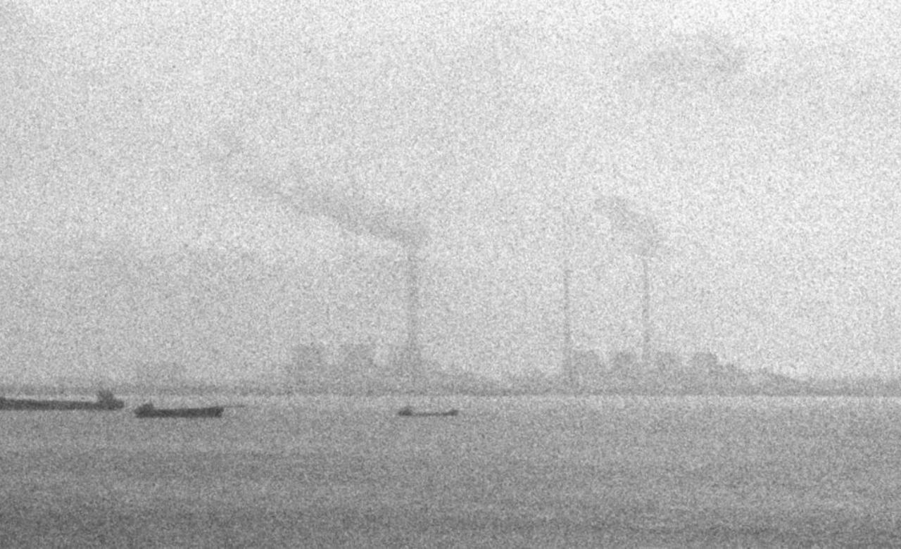 秋麦：心目之中