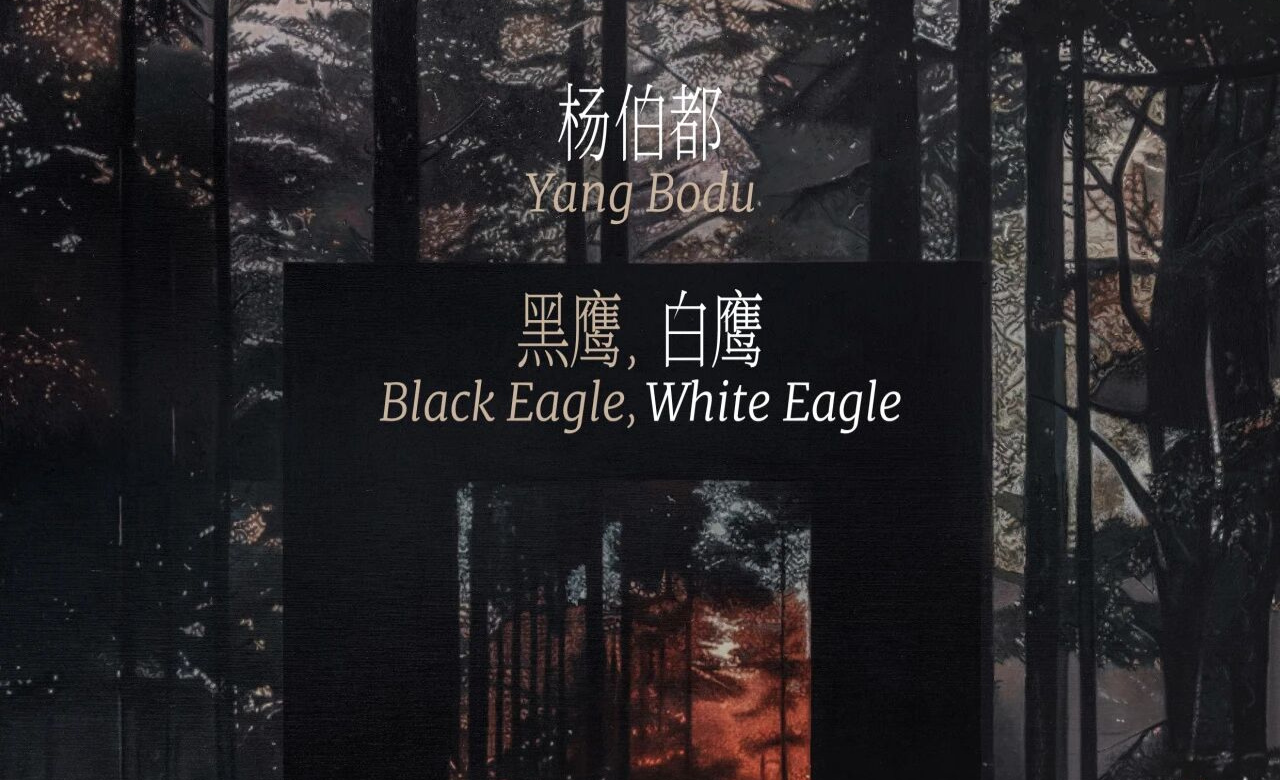 杨伯都:黑鹰,白鹰