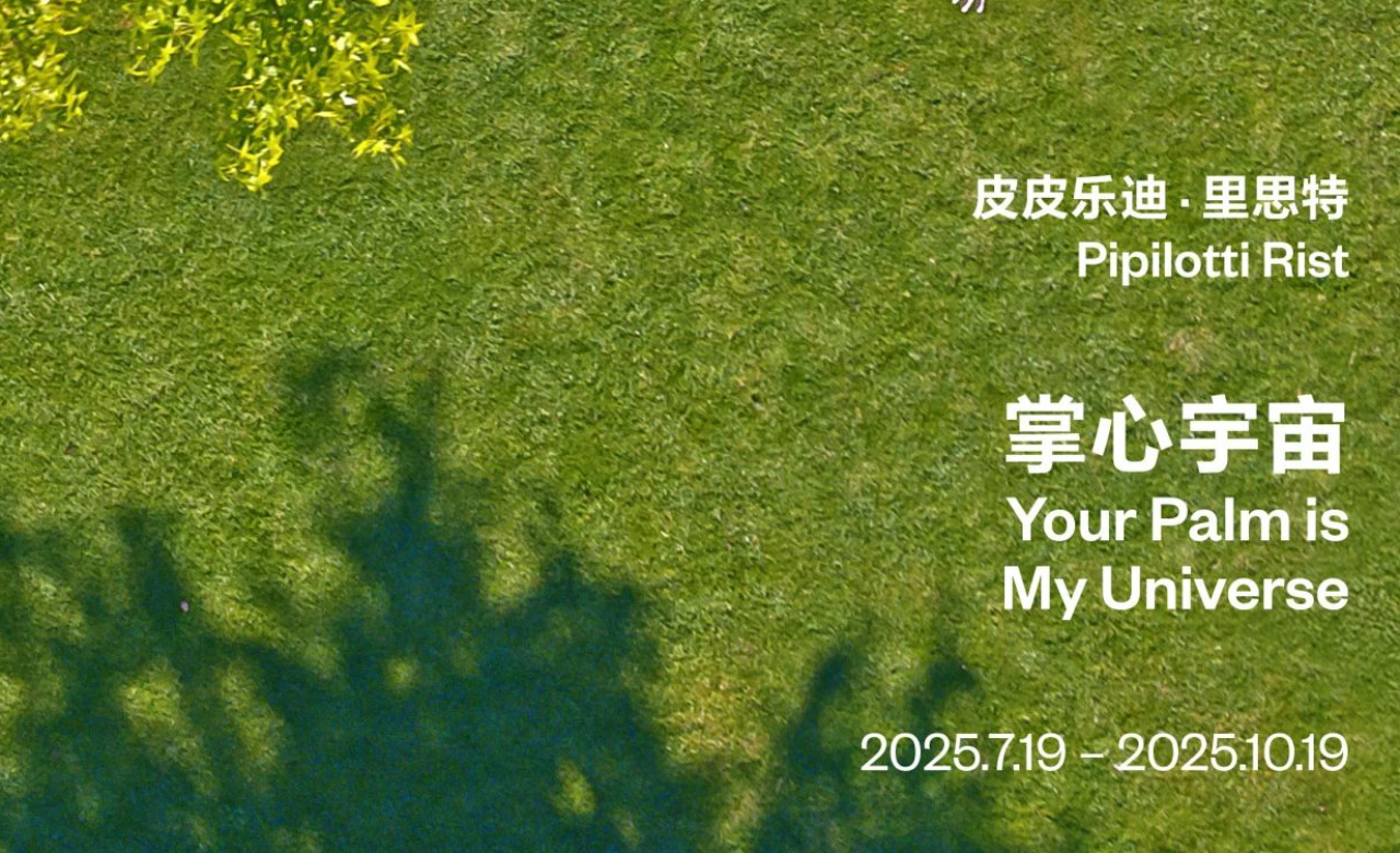 皮皮乐迪·里思特:掌心宇宙