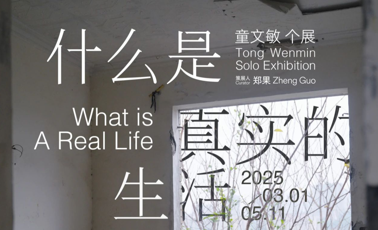 童文敏个展「什么是真实的生活」